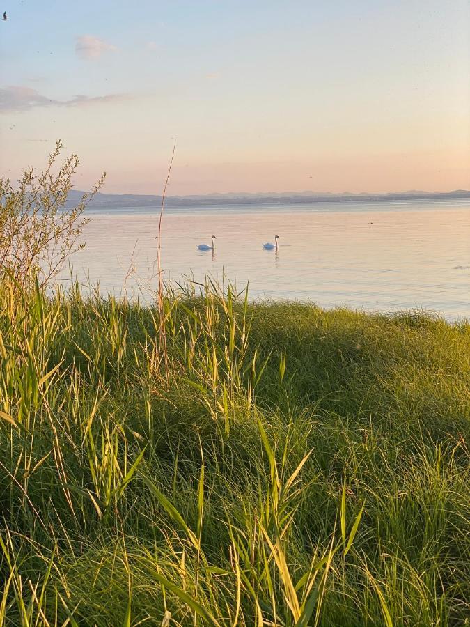 FDH Ferien-Apartment Eisvogel Im Naturschutzgebiet Mit Privatstrand מראה חיצוני תמונה